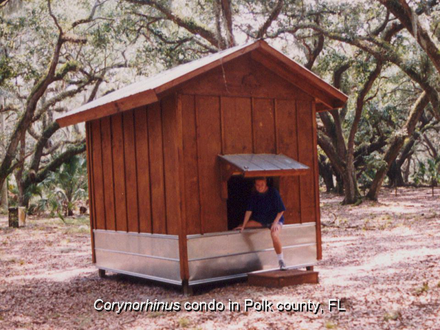 DEP Cory condo