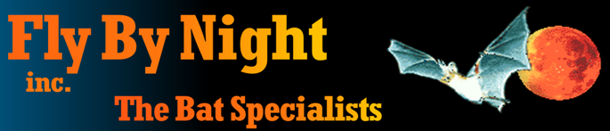 FBN Logo