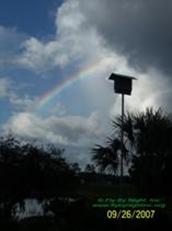 FBN bat house