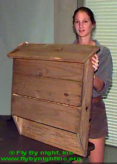 LSF and small bat house