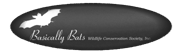 basically bats logo