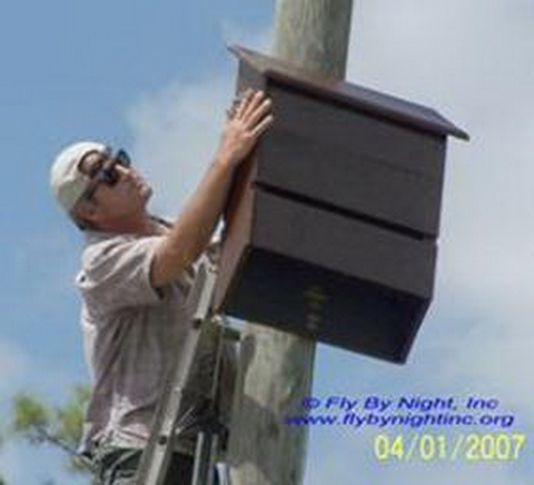 tgf installing sm bat house